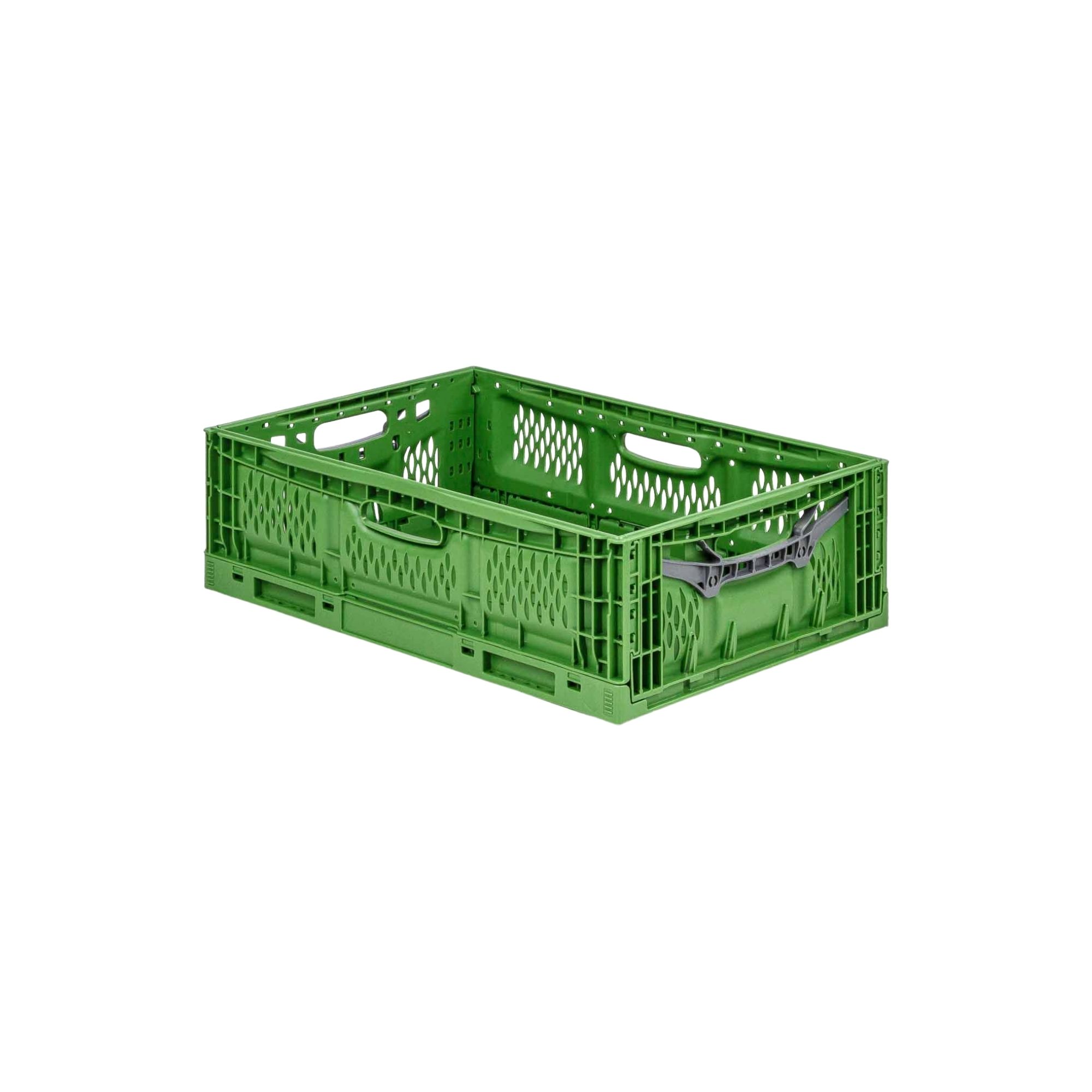 SuperSparSet 5x Stabile Profi-Klappbox Chameleon in Industriequalität | HxBxT 12x40x60cm | 23 Liter | klappbar stapelbar durchbrochen lebensmittelecht | Eurobox Eurobehälter Transportbehälter Stapelbehlter Faltbox