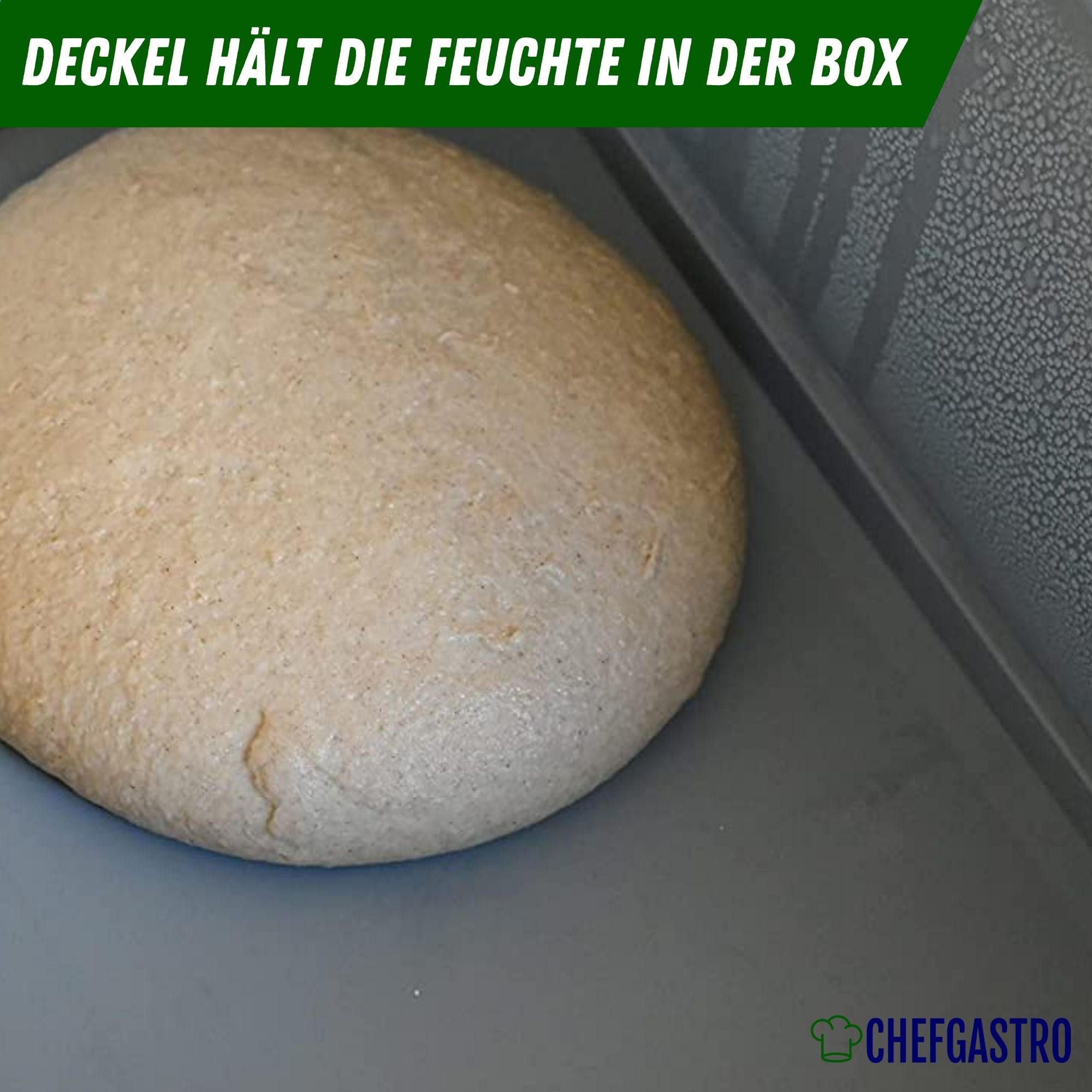 CHEFGASTRO Pizzaballenbox mit Deckel | HxBxT 8,5x30x40cm | 9 Liter | Teigwanne für Pizzateig, Stapelbare Pizzabox, Gärbox für Sauerteig Brotteig Teig-Gärbox