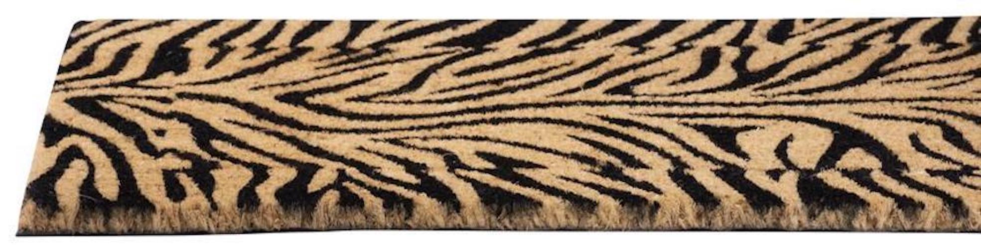 PROREGAL Fußmatte, Schmutzfangmatte ST263, 40x60cm, Zebra
