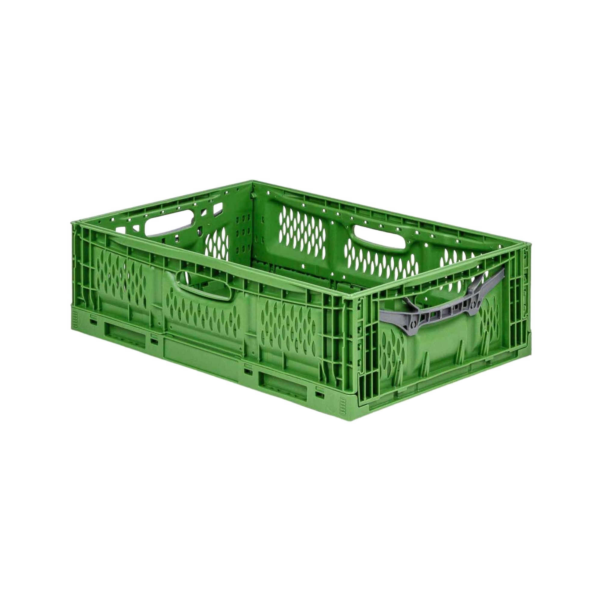 Stabile Profi-Klappbox Chameleon in Industriequalität | HxBxT 18x40x60cm | 35 Liter | klappbar stapelbar durchbrochen lebensmittelecht | Eurobox Eurobehälter Transportbehälter Stapelbehlter Faltbox